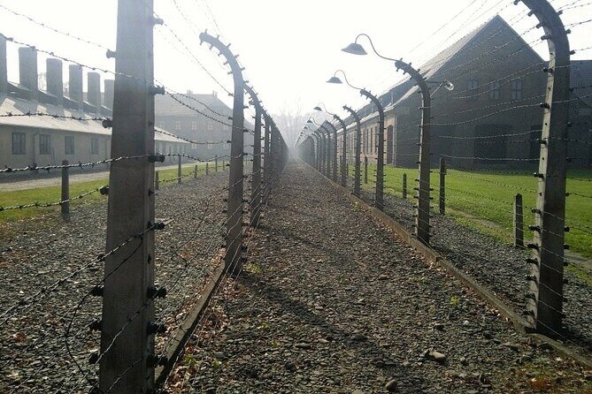 Auschwitz and Birkenau Guided Tour from Krakow - Door-to-door ride from Krakow (with Wi‑Fi)