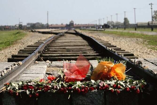 Auschwitz and Birkenau Guided Tour from Krakow - Birkenau: seeing the concentration camp scale and purpose