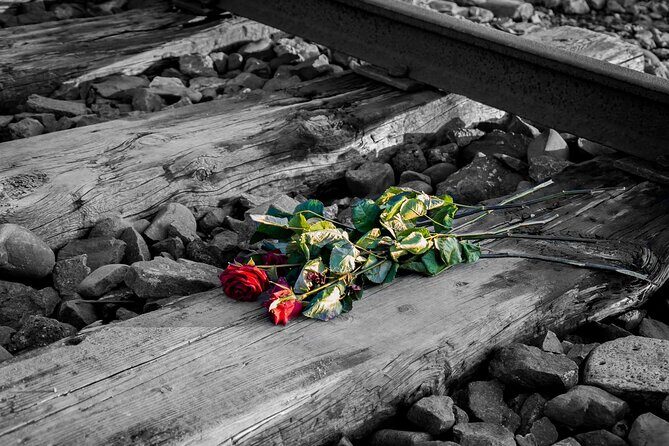 Auschwitz Birkenau and Salt Mine Full Day Guided Tour from Krakow hotel pick up - Transportation, group size, and the comfort math of a 10-hour day