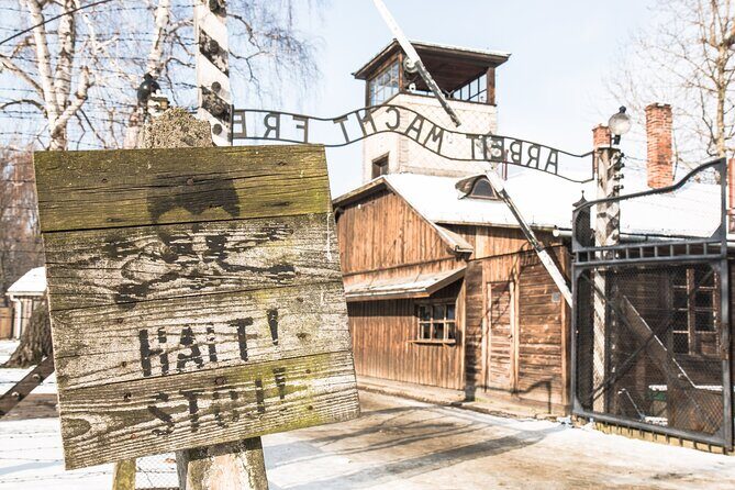 Auschwitz-Birkenau and Wieliczka Salt Mine Full Day Tour - What You’re Really Booking in Krakow