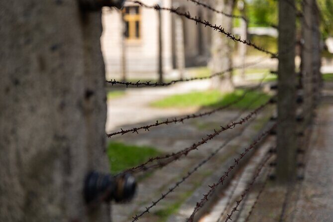 Auschwitz-Birkenau: Day Trip & Transfer from Kraków - Timing, Queues, and the Skip-the-Line Question