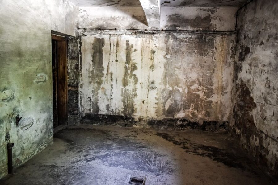 Auschwitz-Birkenau: Entrance Ticket and Live Tour Guide - Key things to know before you go