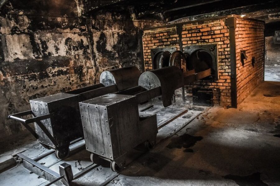 Auschwitz-Birkenau: Entrance Ticket and Live Tour Guide - Meeting Auschwitz I with the right mindset