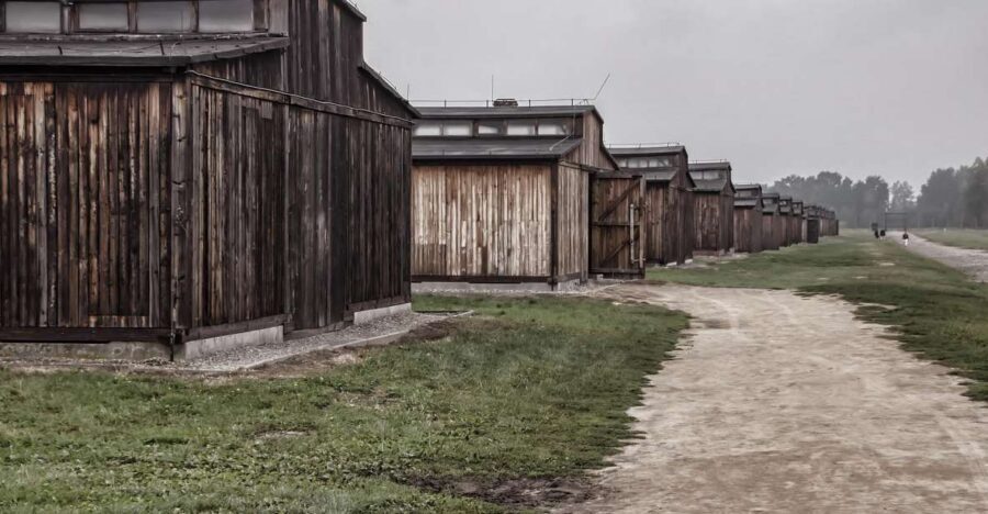 Auschwitz-Birkenau: Entrance Ticket and Live Tour Guide - The shift to Auschwitz II: why the shuttle and timing matter