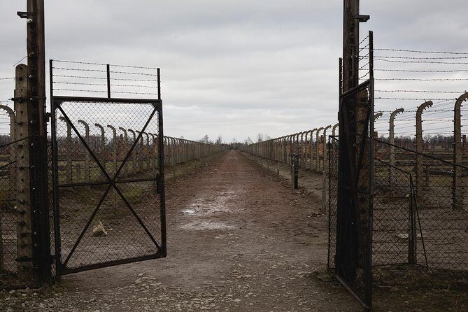Auschwitz Birkenau Guided Tour - Auschwitz II-Birkenau: what the second half changes