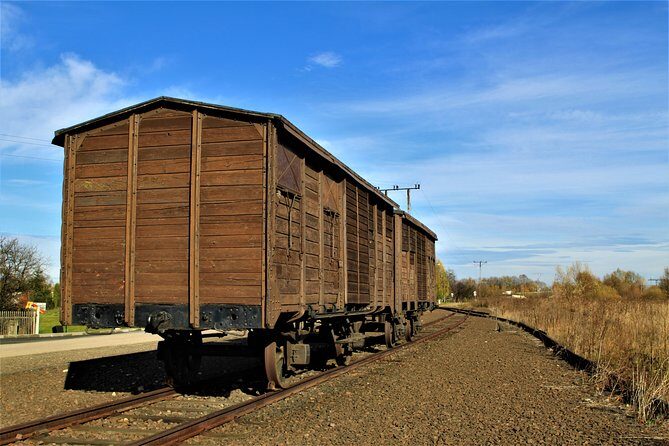 Auschwitz-Birkenau Guided Tour by Private Transport from Krakow - Birkenau: scale, walking, and why weather really matters