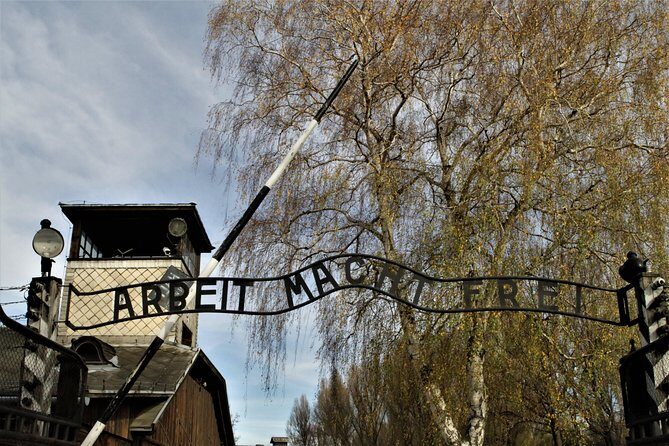 Auschwitz-Birkenau Guided Tour by Private Transport from Krakow - Guides and group size: why it feels thoughtful (and sometimes tight)