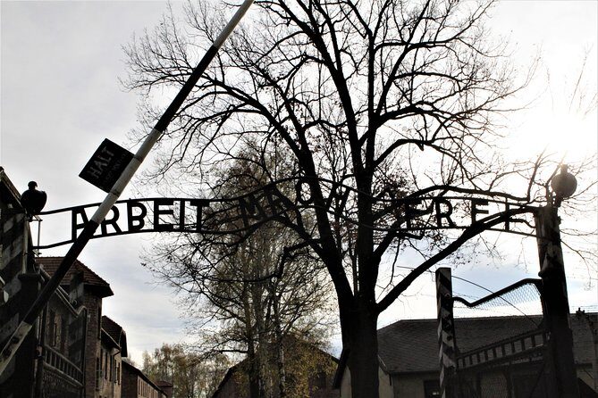 Auschwitz-Birkenau Guided Tour by Private Transport from Krakow - Price and logistics: what $180.57 buys you (and what it doesn’t)