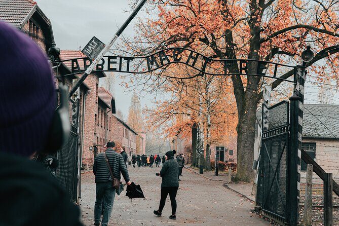 Auschwitz Birkenau guided tour from Krakow private chauffeur - Birkenau (Brzezinka): the open-air sections and the ramp