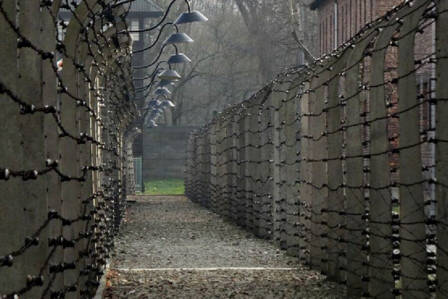Auschwitz-Birkenau Guided Tour & Transfer from Krakow - Auschwitz-Birkenau from Krakow: why the guided transfer is the smart move