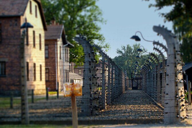 Auschwitz & Birkenau Live Guide Tour Entrance Ticket - Key things to know before you go