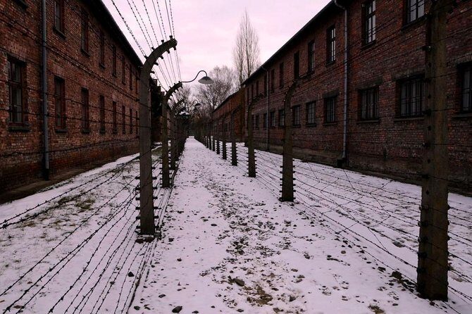 Auschwitz Birkenau Memorial and Museum group tour from Krakow - Auschwitz-Birkenau timing: how this half-day tour actually feels