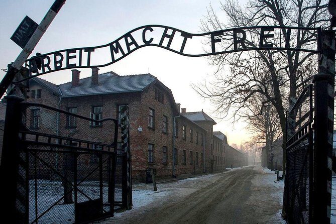 Auschwitz-Birkenau Memorial and Museum Guided Tour from Krakow - The ride from Krakow: comfortable minivan and no planning stress