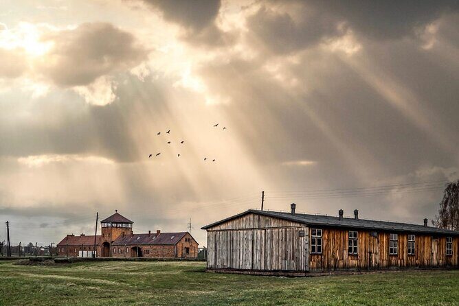 Auschwitz-Birkenau Memorial and Museum Guided Tour - Private Transport - Auschwitz (Panstwowe Muzeum Auschwitz-Birkenau): how the guide shapes your visit