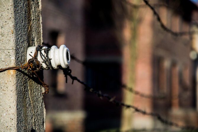 Auschwitz-Birkenau Memorial and Museum with Private Transfers from Krakow - Small details that matter more than you think