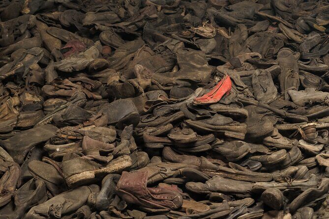 Auschwitz-Birkenau Memorial Entrance Ticket and Guided Tour - Transport, group size, and why this tour runs as a “real day” outing