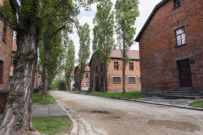 Auschwitz-Birkenau Memorial Entrance Ticket and Guided Tour - The museum exhibitions and prison blocks: why guided explanations are worth it