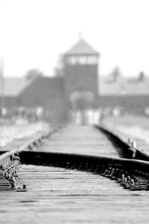 Auschwitz-Birkenau: Memorial Entry Ticket and Guided Tour - Key Things I’d Put on Your Radar
