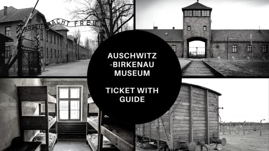 Auschwitz-Birkenau: Memorial Entry Ticket and Guided Tour - Not included: transport, food, and the things you should plan yourself for