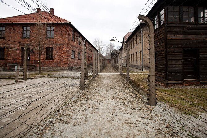 Auschwitz-Birkenau & Salt Mine Day tour - Price and value: why this combo can be worth it