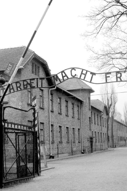 Auschwitz-Birkenau & Salt Mine Tour in One Day from Krakow - How to make the most of 11–12 hours without burning out