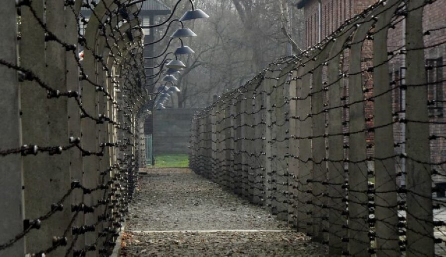 Auschwitz-Birkenau & Salt Mine Tour in One Day from Krakow - A one-day Auschwitz-Birkenau and Wieliczka Salt Mine combo