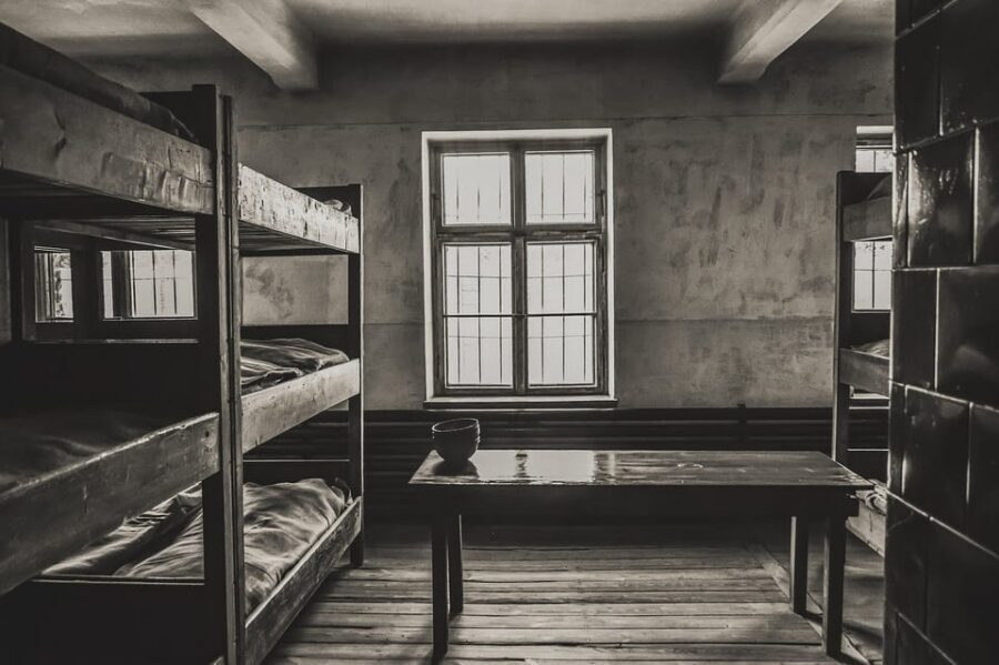 Auschwitz-Birkenau & Salt Mine Tour in One Day from Krakow - Getting there from Krakow: timing, pickup, and transfers