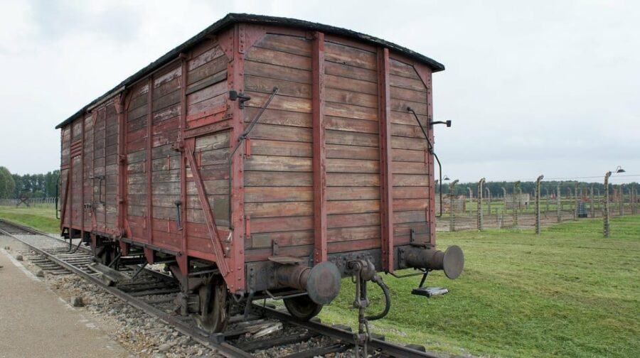Auschwitz-Birkenau & Salt Mine Tour in One Day from Krakow - What to wear and pack: modest clothes, small bags, and ID