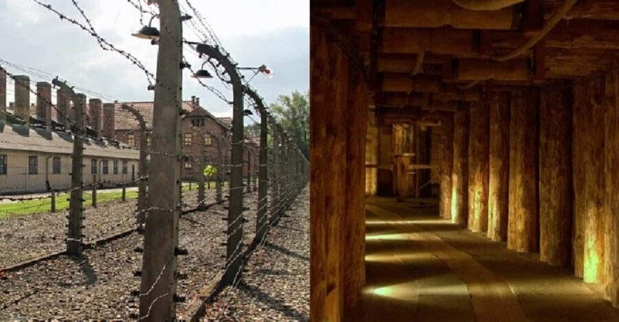 Auschwitz-Birkenau & Salt Mine Tour in One Day from Krakow - Who should book this trip (and who should skip it)