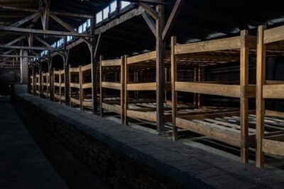 Auschwitz-Birkenau: Skip-the-Line Ticket and Guided Tour - Getting From Krakow: Plan for Self-Transport and Simple Logistics