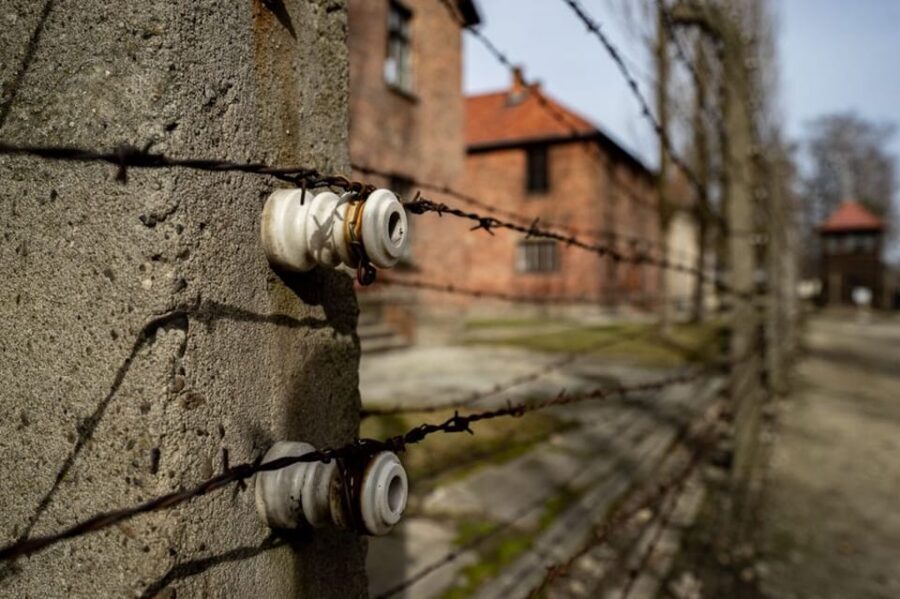 Auschwitz-Birkenau Skip-the-Line Ticket and Guided Tour - Price and logistics: is $55 worth it from Krakow?