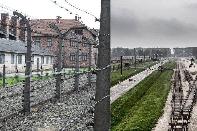 Auschwitz & Birkenau Small Group Live Guided Tour with Hotel Pick Up Transport - Birkenau: the long walks, the wind, and why timing matters
