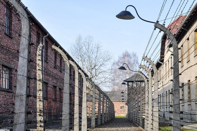 Auschwitz-Birkenau Tour Guide and Jewish museum and synagogue - Birkenau: the scale hits harder in person