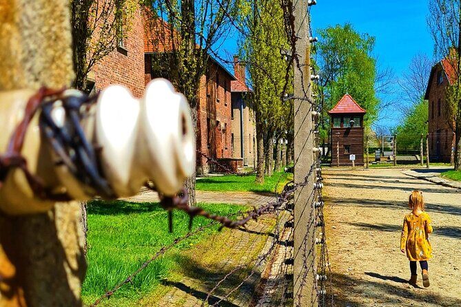 Auschwitz-Birkenau Tour with Private Transport Altenative Tour - Key things I’d pay attention to
