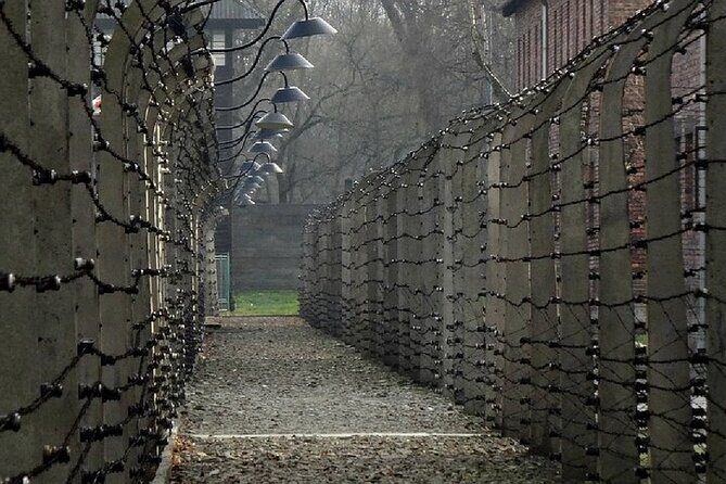 Auschwitz Birkenau Transfer and Guide with Salt Mine Combo Option - The Big Picture: Why This Auschwitz and Salt Mine Day Combo Makes Sense