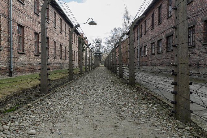 Auschwitz-Birkenau & Wieliczka in one day (Guided tour) - Who This Tour Fits Best (and Who Should Rethink It)