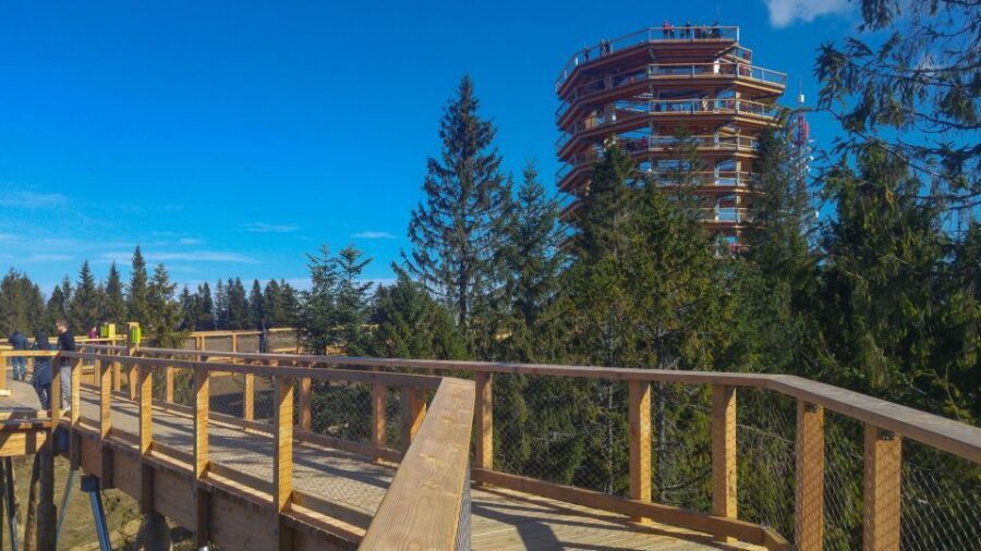 Dunajec River Gorge Rafting and Tree Top Walk from Krakow - Who Should Book This Tour (and Who Might Want to Skip)