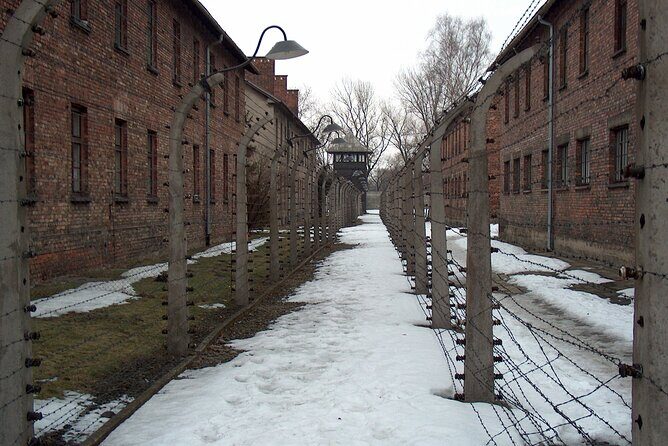 Exclusive Small Group Auschwitz-Birkenau Guided Tour from Krakow - Who should book this tour from Krakow