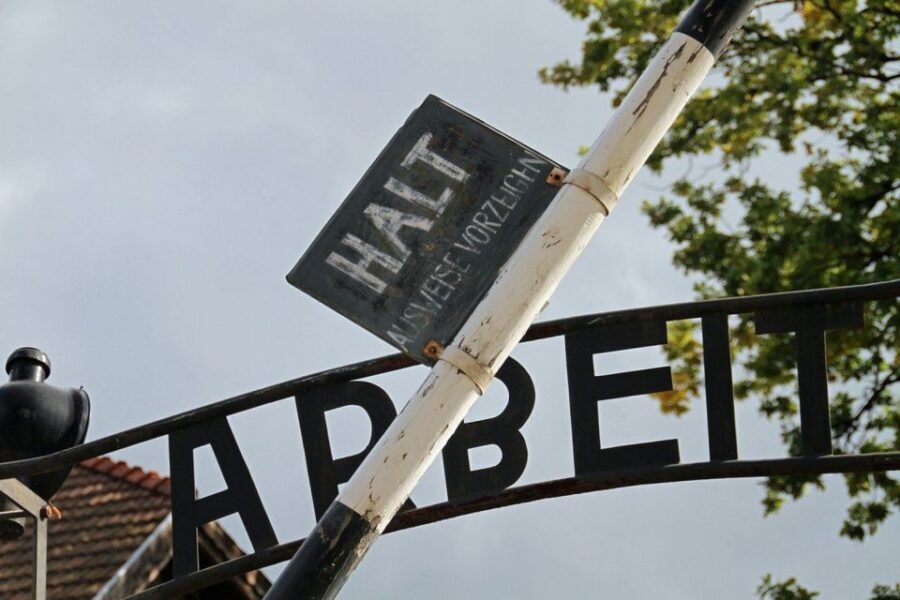 From Krakow: Auschwitz Birkenau and Salt Mine Guided Tour - Auschwitz pacing: why the group day still works