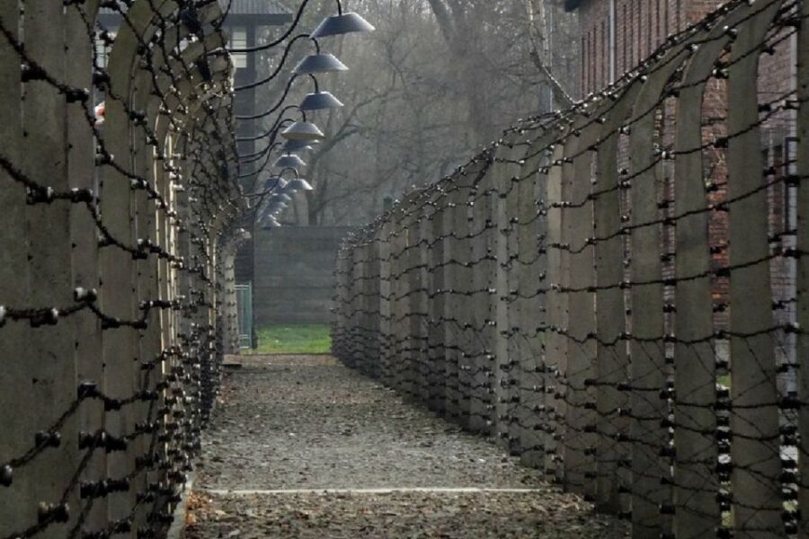 From Krakow: Auschwitz Birkenau and Salt Mine Guided Tour - Skip-the-line value: the $120 price and what you actually get