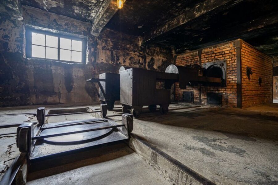 From Krakow: Auschwitz-Birkenau Full-Day Tour - Lunch break and the memorial’s rhythm: what to expect