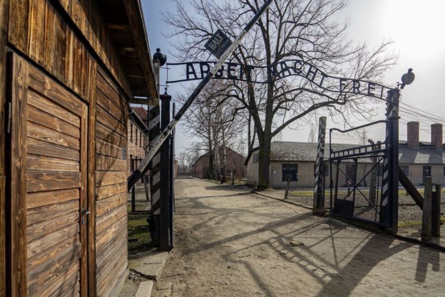 From Krakow: Auschwitz-Birkenau Full-Day Tour - Who this tour suits best (and who might want a different option)