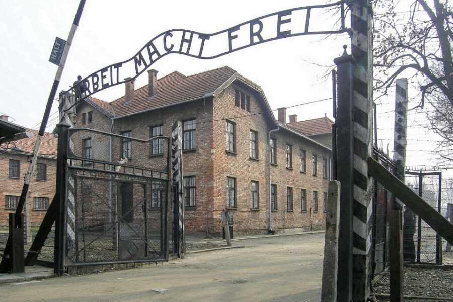 From Krakow: Auschwitz-Birkenau Guided Tour & Hotel Pickup - Group Size, Timing, and the Emotional Reality of a Long Day