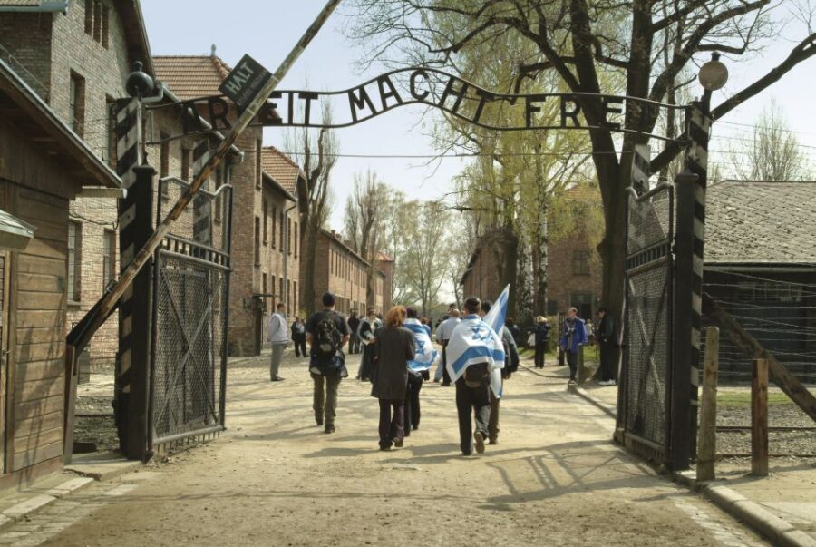 From Krakow: Auschwitz-Birkenau Memorial and Museum Tour - Skip-the-line entry: why it matters here