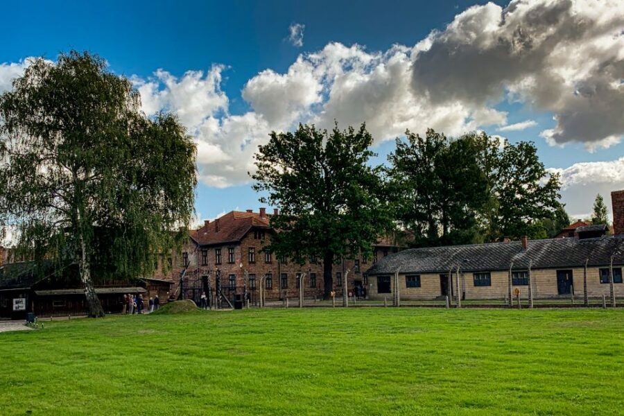 From Krakow: Auschwitz-Birkenau Memorial and Museum Tour - Auschwitz II-Birkenau: watchtowers, fences, barracks, and the remains