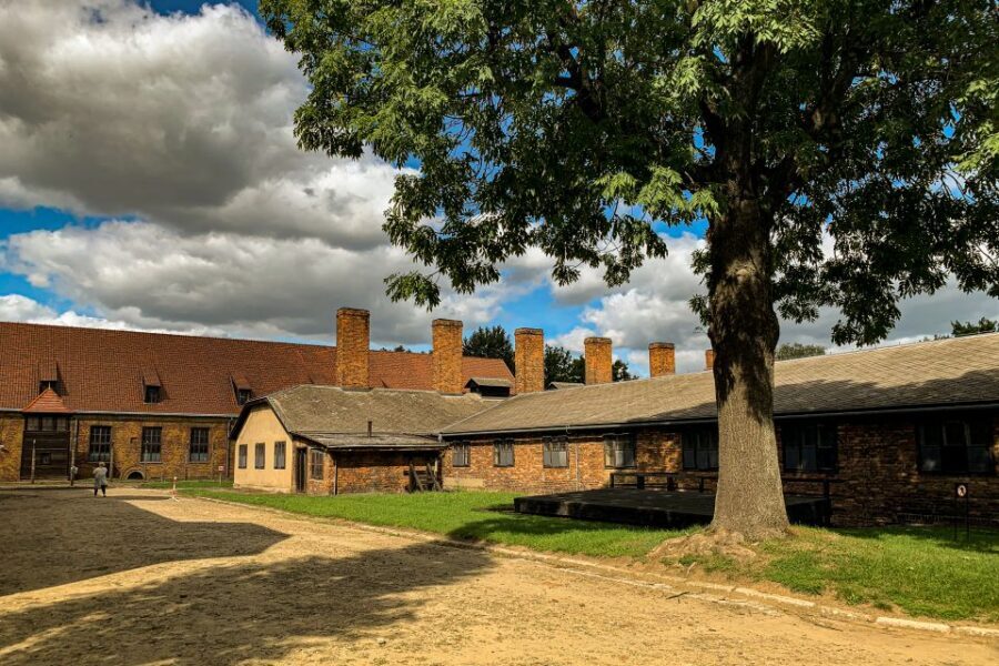 From Krakow: Auschwitz-Birkenau Memorial and Museum Tour - Memorials and victim stories: what to remember as you walk