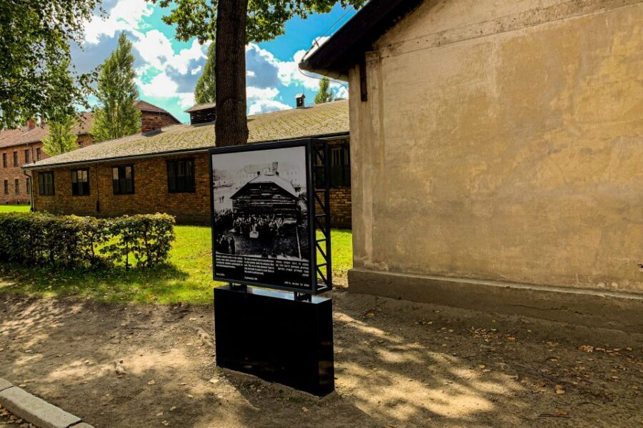 From Krakow: Auschwitz-Birkenau Memorial and Museum Tour - Guide experience: live interpretation that stays respectful