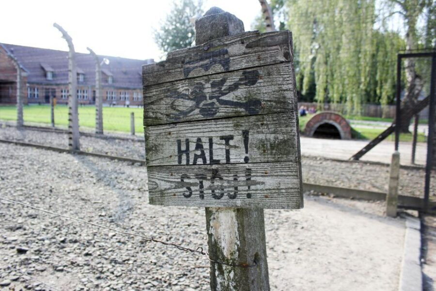 From Kraków: Auschwitz-Birkenau Memorial Guided Tour - Quick take on this Krakow to Auschwitz-Birkenau tour