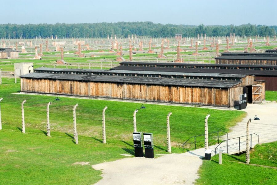 From Kraków: Auschwitz-Birkenau Memorial Guided Tour - What you’ll actually see during the guided 3.5 hours