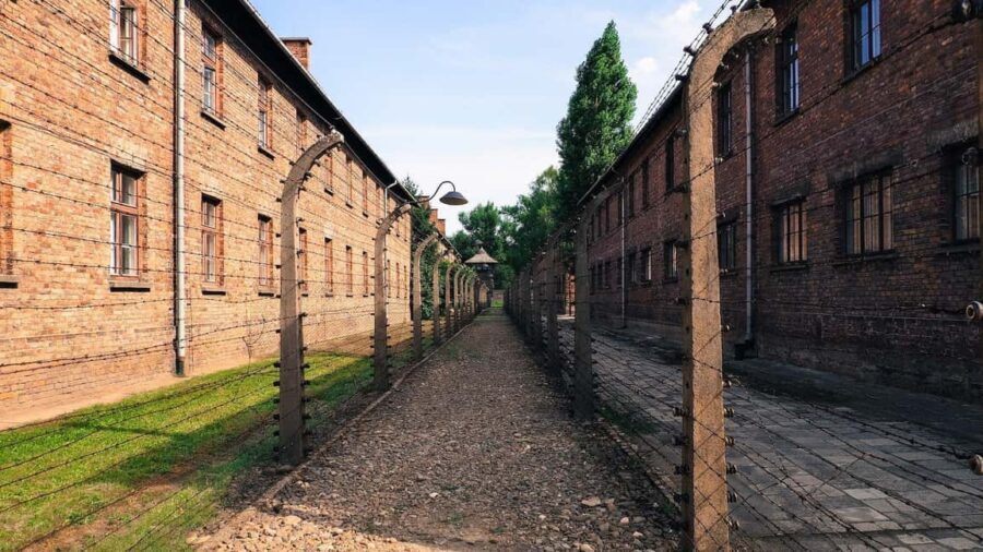 From Krakow: Auschwitz-Birkenau Memorial Private Tour - What to wear, bring, and avoid at the memorial